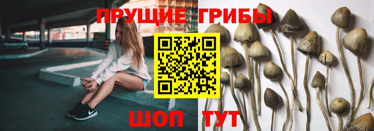 Галлюциногенные грибы ЛСД Будённовск